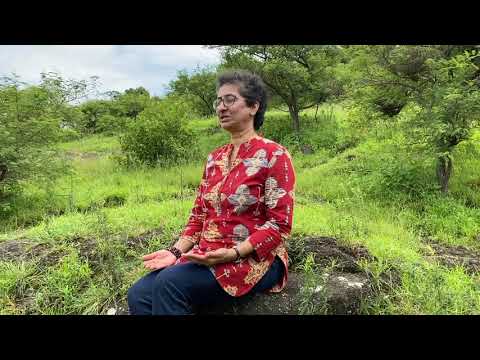 Vidya Chikte - Mindful We (On this World Peace day, in the lush green hills)