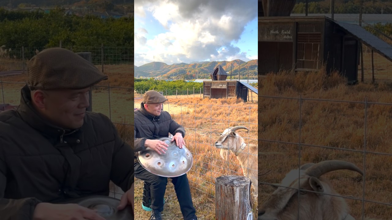 ハンドパン聴いてく？　風の通り道