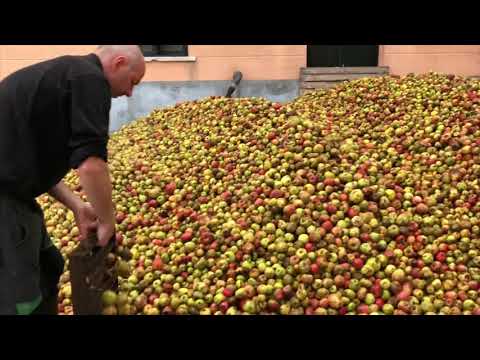 Gurutzeta - 2020ko sagardoa egiten // Elaborando la sidra de 2020