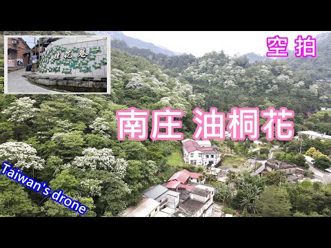 Nanzhuang Oil Tung Blossom Explosion - Viva uma pequena batida de ar calma