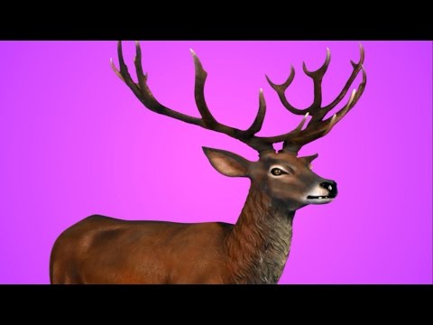 El mito de Acteón | Diana y Acteón | Artemisa | Mitología Griega