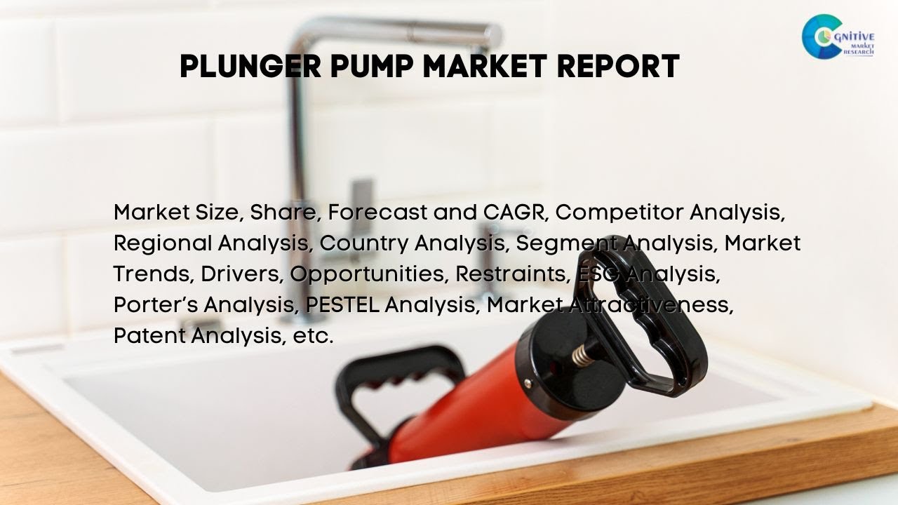 Plunger Pump  Market Insights