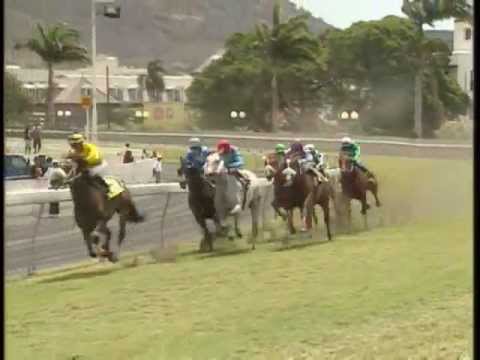 32nd Meeting (30 Oct 2011) - Race 3 Winner: SNIPER (iDates.mu)