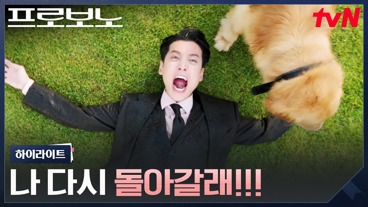 1화 하이라이트｜부장판사를 앞두고 강제 퇴사하게 된 정경호 #프로보노 EP.1