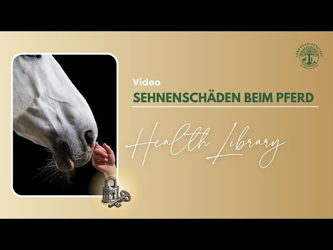 Sehnenschaden beim Pferd – Naturheilkundlicher Tipp für Regeneration & Heilung