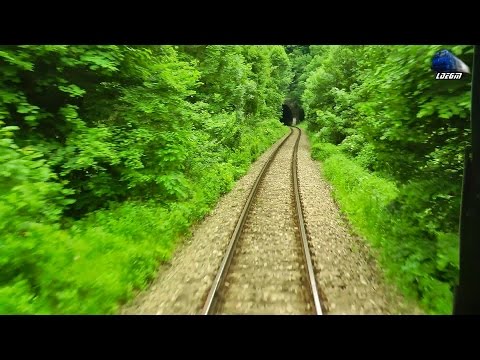 Train RearView Piatra Craiului-Bulz-Bratca-Suncuius-Vadu Crisului-Alesd [Spring Edition] 28 May 2015