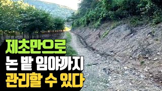 제초제만으로 논 밭 임야까지 관리할 수 있다 | 나무대장