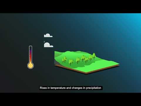 The Link Between Air Pollution and Climate Change Explained