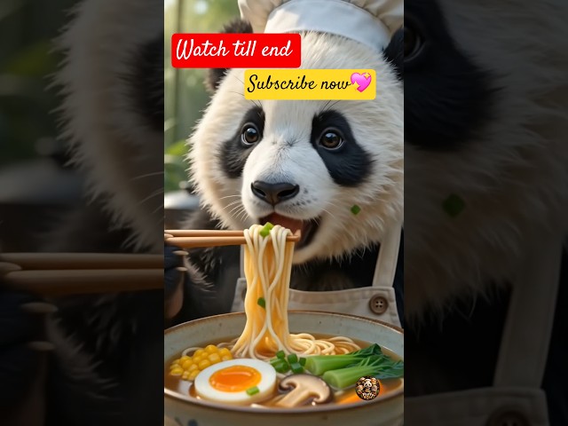 Vídeo relacionado con Sweet Anime Panda Eating Ramen. By Ramen Society Camiseta