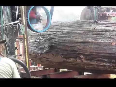 Cross Sawmill Rips Its Way To a New World Record