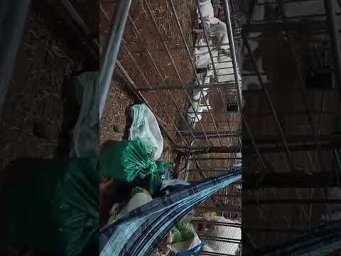 Expome em São Tomé RN