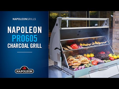 Napoleon Charcoal Professional Grill