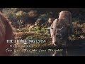 THE LION KING 2019 Can You Feel The Love Tonight Nala S Part One Line Multilanguage W S T