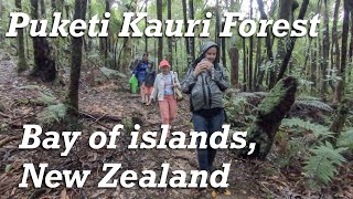 preview picture of video 'Puketi Nature trial, Bay of Islands, New Zealand'