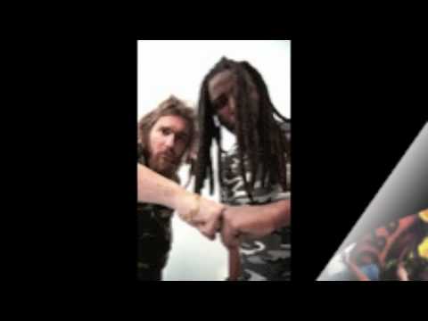 chilly & leafy glömma det video