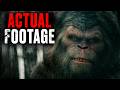 TOP 17 Most Authentic Bigfoot Videos