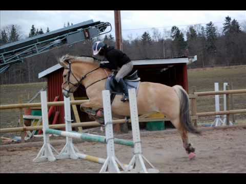 Usha, Tack för allt ♥