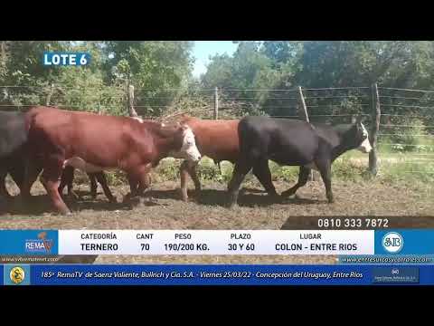 25-03-22 - 185º Remate Televisado de Saenz Valiente, Bulrich y Cía. S.A.    Concepción del Uruguay
