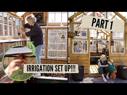 Opening the Greenhouse 🌱 Irrigation System, Compost + garden planning! | DIY DANIE