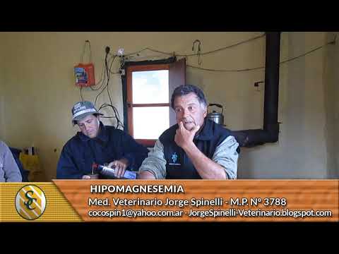 Dr Spinelli -  Hipomagnesemia  2° Informe
