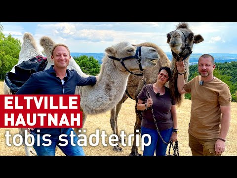 Eltville hautnah! | Reisen | Tobis Städtetrip