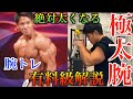 【最強腕種目】爆発的な三頭筋を作る方法を初公開。分かりやすいテクニックを伝授