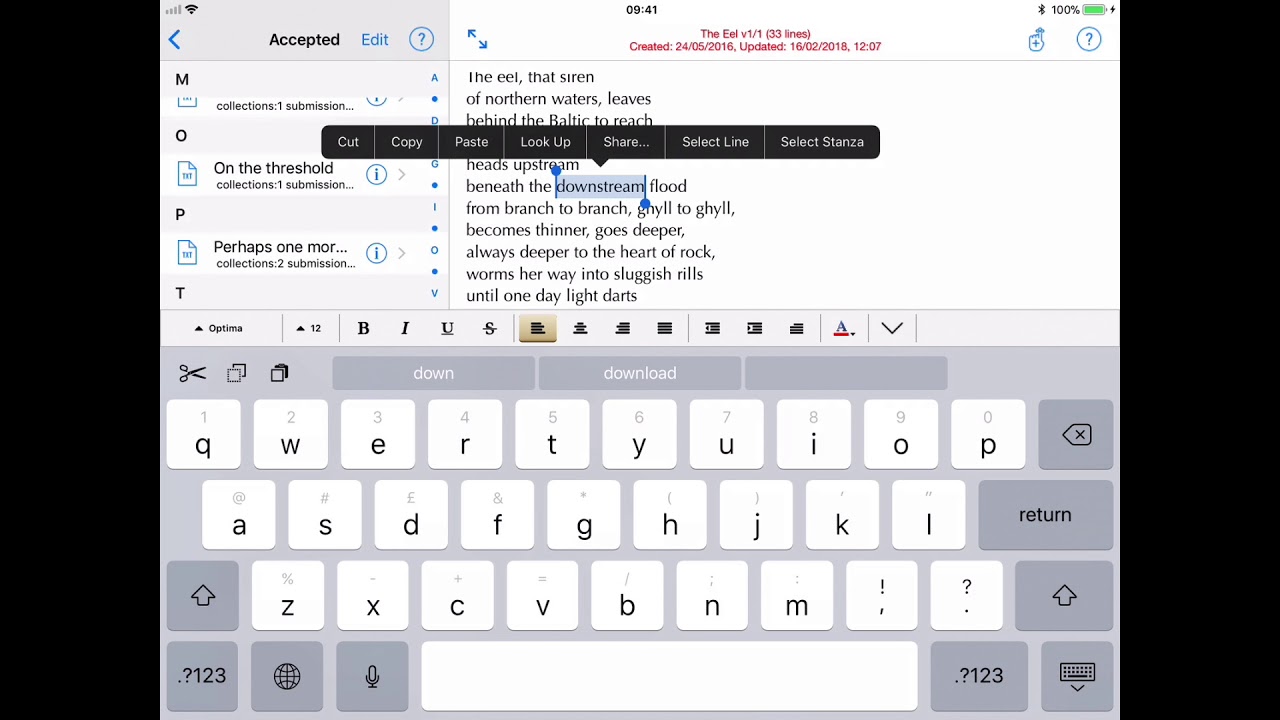 iPad Text Editor