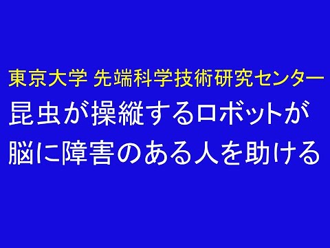 心理学科 昆虫が操縦するロボットが、脳に障害のある人を助ける　東京大学先端科学技術研究センター