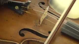 Ezio Bosso: prima lettura di RAIN