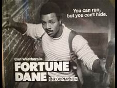 Review of Fortune Dane Pilot (1986)