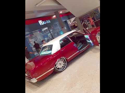 Segura na equipe segura no paredão ela da tremidao tremidao eletrofunk