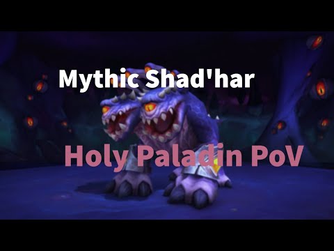 Mythic Shad'har the Insatiable - Holy Paladin PoV (Npdx) 131K HPS