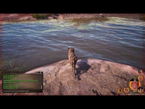 Animalia Survival - Larch's Story