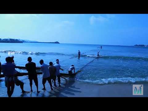 Most Satisfying Cast Net Fishing Catch Tons of Fish - Traditional Net Catch Fishing on Sea Galle