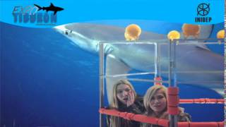 DIA 3 Expo Tiburon44