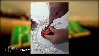 Miniatura do vídeo