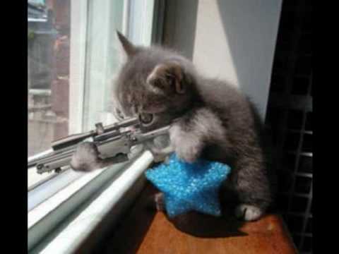 Sniper Katz V.S. Thanators