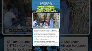 Tradisi Unik di Loang Baloq, Mataram Mengikat Akar Beringin Sambil Bernazar agar Doa Cepat Terkabul