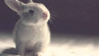 Jackson Waters - One More Day - With Lyrics