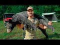 3 Days In Appalachia Bear Hunting And Camping