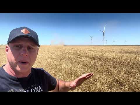 Cosecha histórica de cebada en el sudoeste bonaerense