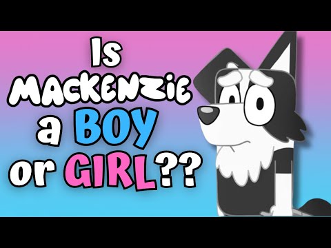 Is Mackenzie a BOY or GIRL in Bluey????