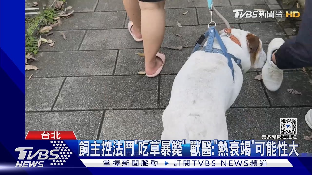 大安森林公園「法鬥疑吃草亡」 公園處:未投藥