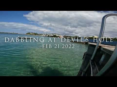 BERMUDA: DABBLING AT DEVIL'S HOLE FEB 21 2022