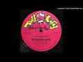 Spoonie Gee - The Godfather (Original 12" Version)