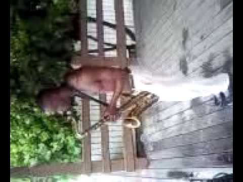 Tim Turner Tribute to Michael Jackson