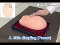 M44 Visual Tactile Breast Examination Simulator Pathologies