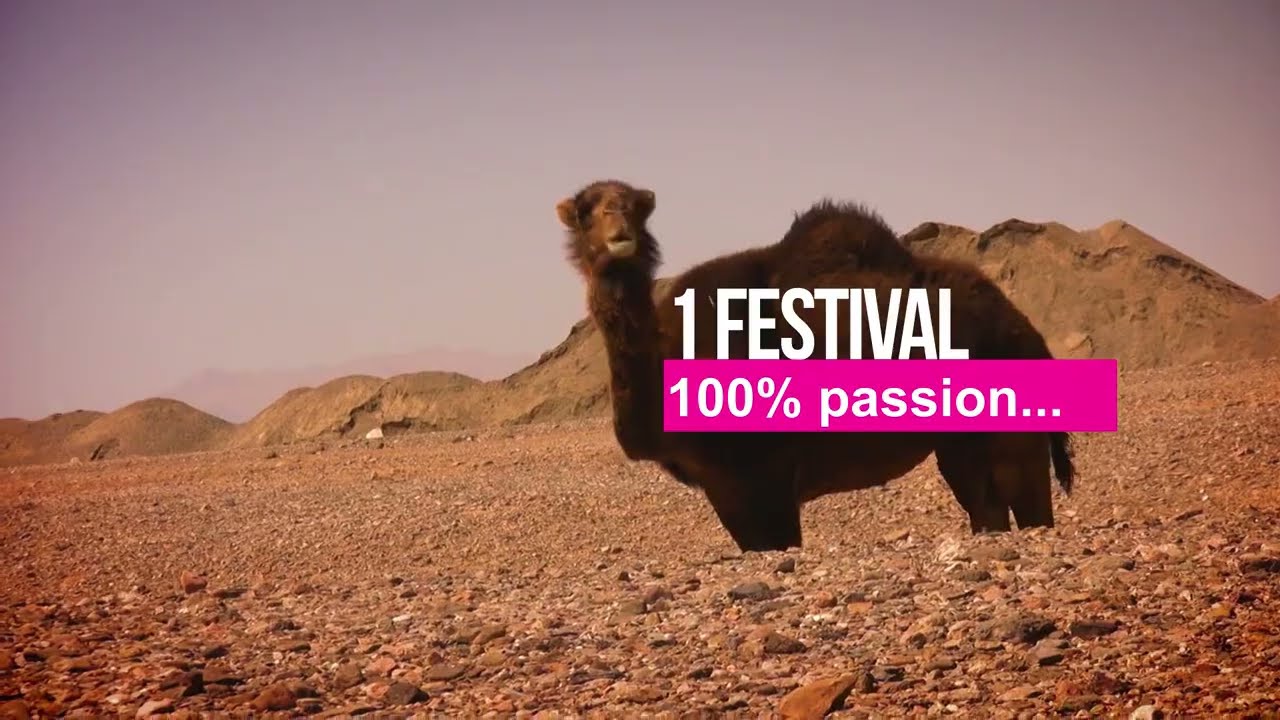 PROGRAMME 2019 - Vidéo de présentation