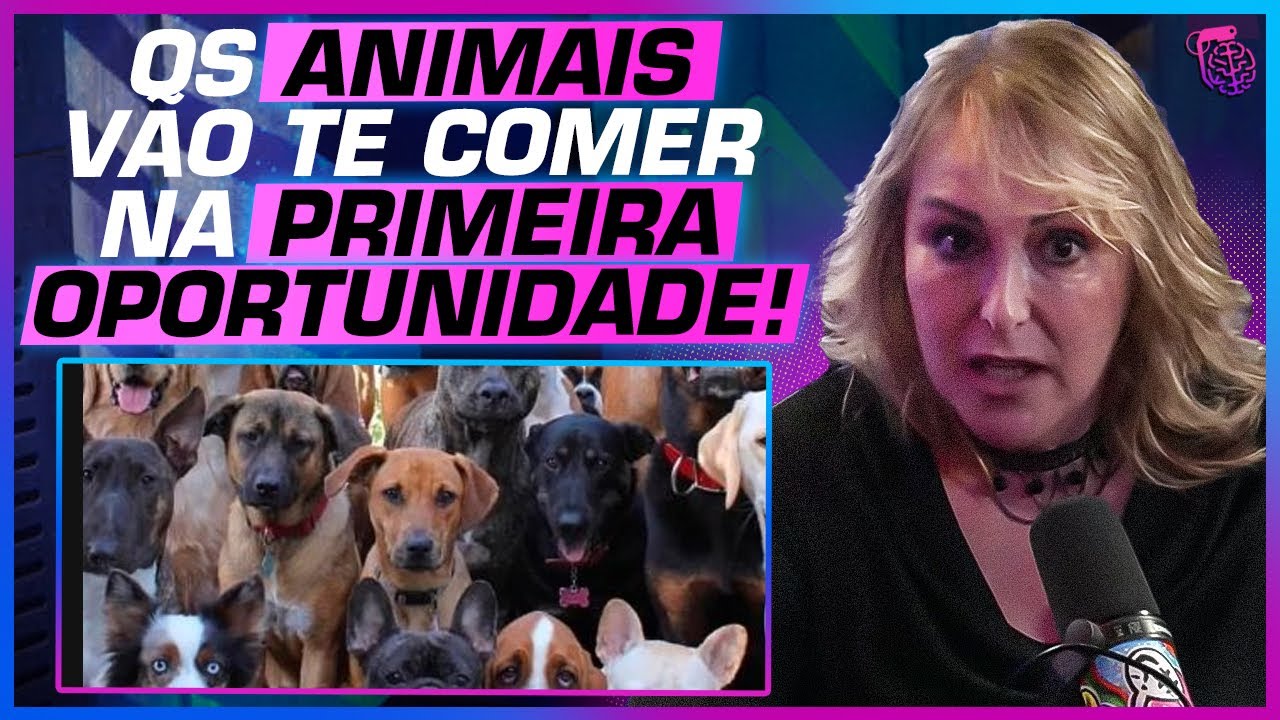 Decifrando o caso da PEDRA da MACUMBA - ROSANGELA MONTEIRO E DEL. MAURO DIAS