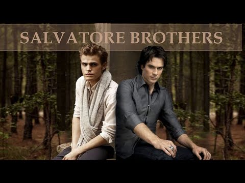 Stefan and Damon's best brotherly moments